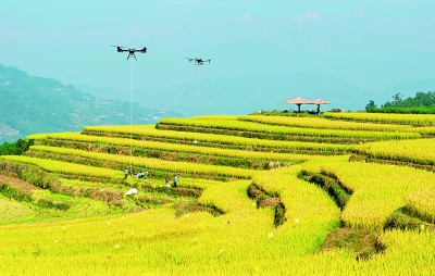我国农业生产方式正在发生质变