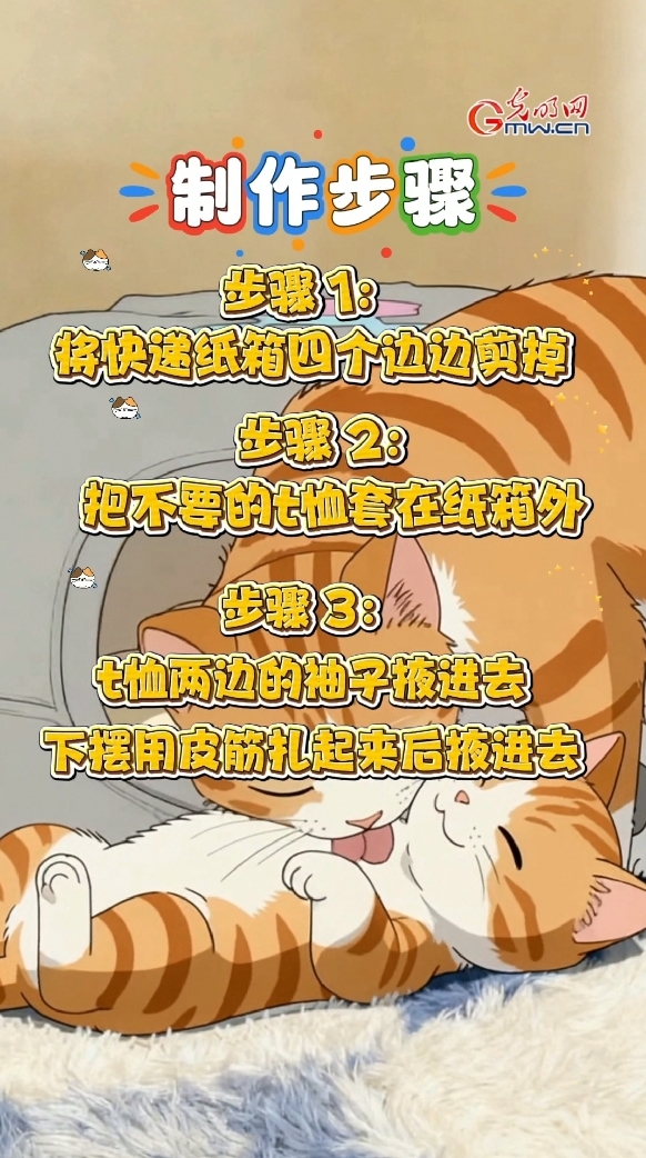 生活新“俭”法｜快递收到爽，盒子堆成山？三招改造成猫咪小窝