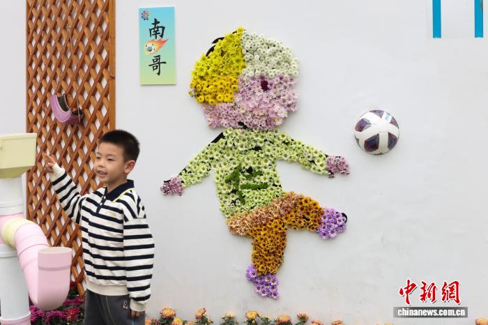 色彩缤纷 南京农业大学菊花基地“上新”