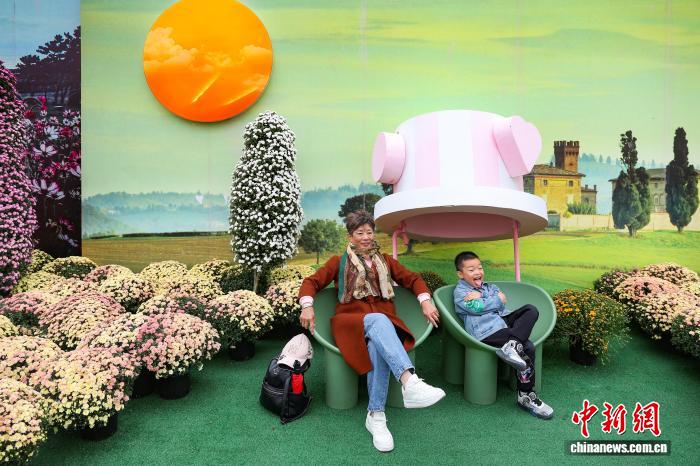 色彩缤纷 南京农业大学菊花基地“上新”