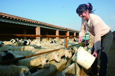 宁夏吴忠市盐池县马儿庄村:绿了家园 富了村民