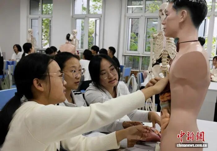 大学开设“带娃”专业，学什么？去哪里就业？