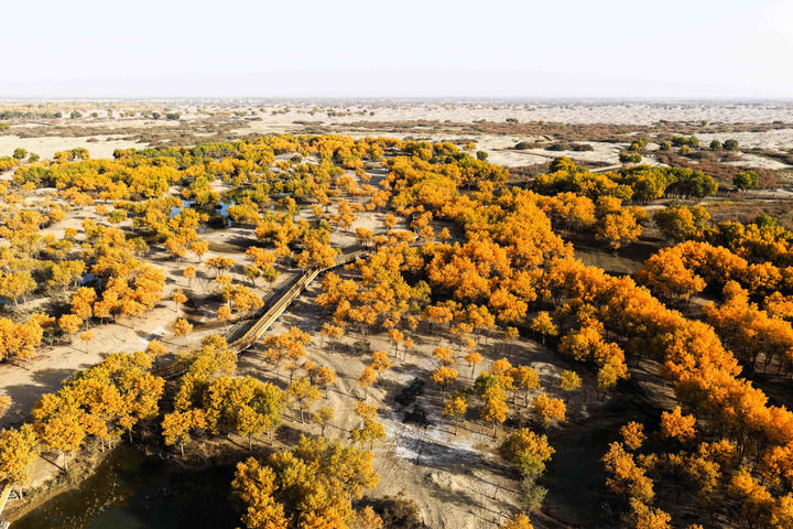 接续奋斗向未来——各地干部群众在四中全会精神指引下奋力拼搏谱新篇