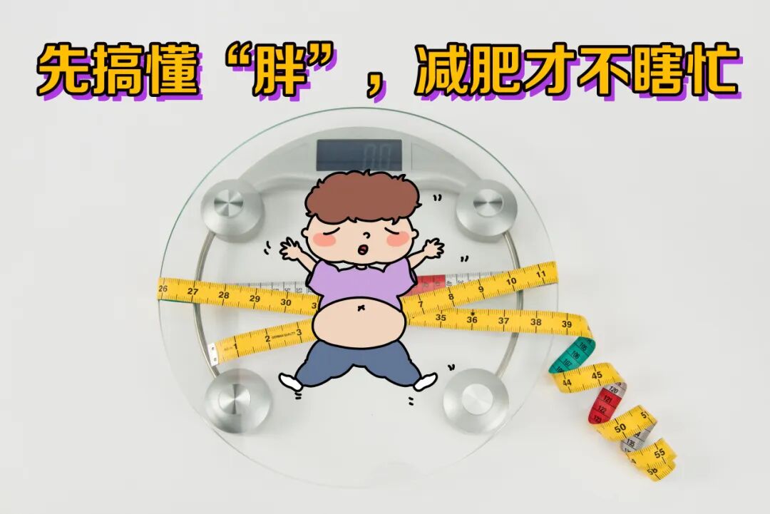 减肥真的没那么难！国家背书的“健康体重管理百科”刷3遍，我终于瘦了！ | 科学减重一起来