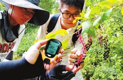 走，上山采药去！