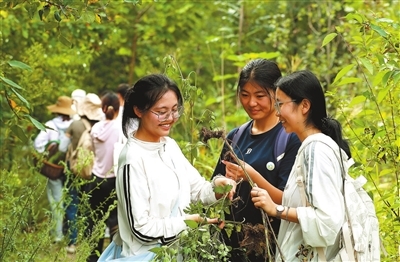 走，上山采药去！