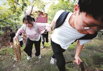 走，上山采药去！
