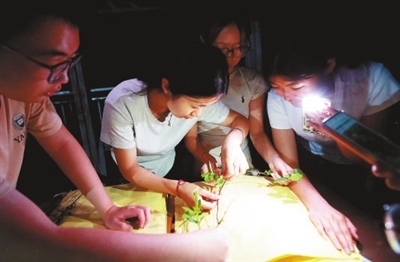 走，上山采药去！