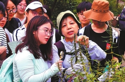 走，上山采药去！