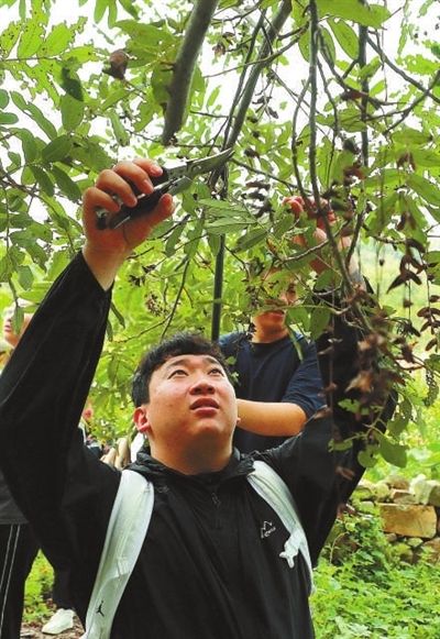 走，上山采药去！