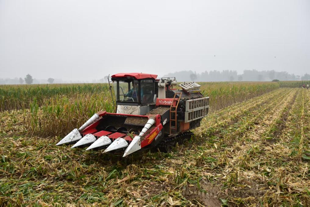 新华视点丨如何打好秋收秋种这场硬仗?