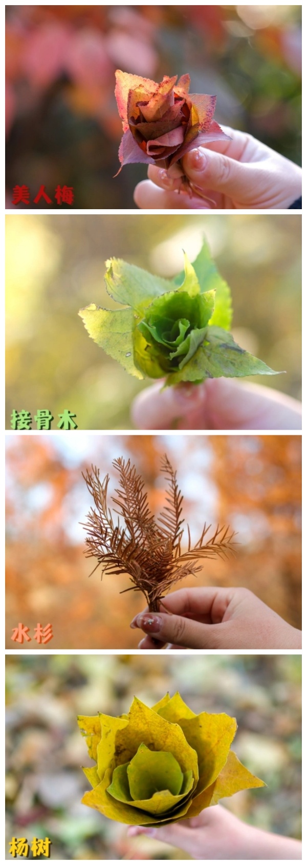 生活新“俭”法|谁说勤俭要“吃土”？这波妙招让你日子超有质感