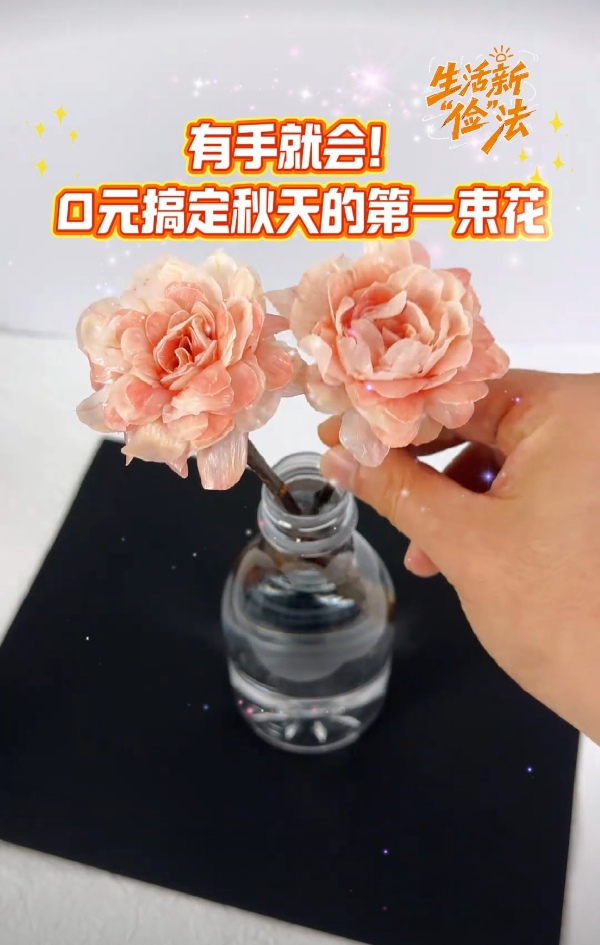 生活新“俭”法|谁说勤俭要“吃土”？这波妙招让你日子超有质感