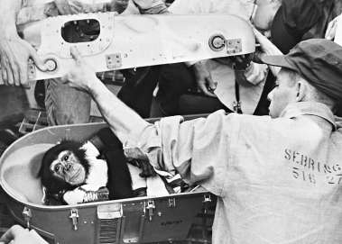 天宫“养鼠”引发生命科学新期待