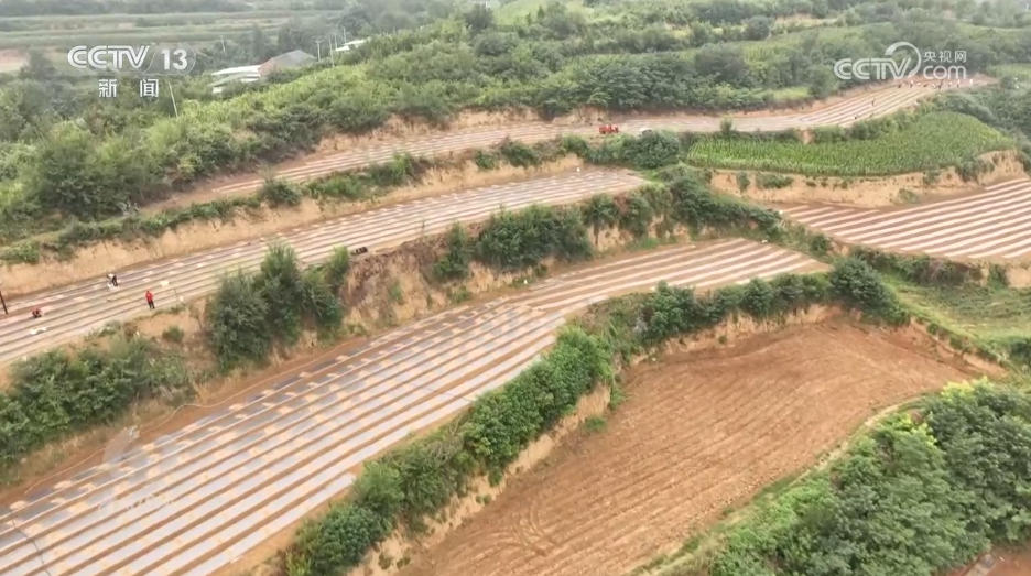 攥紧农业“芯片” 提稳中国“菜篮子”