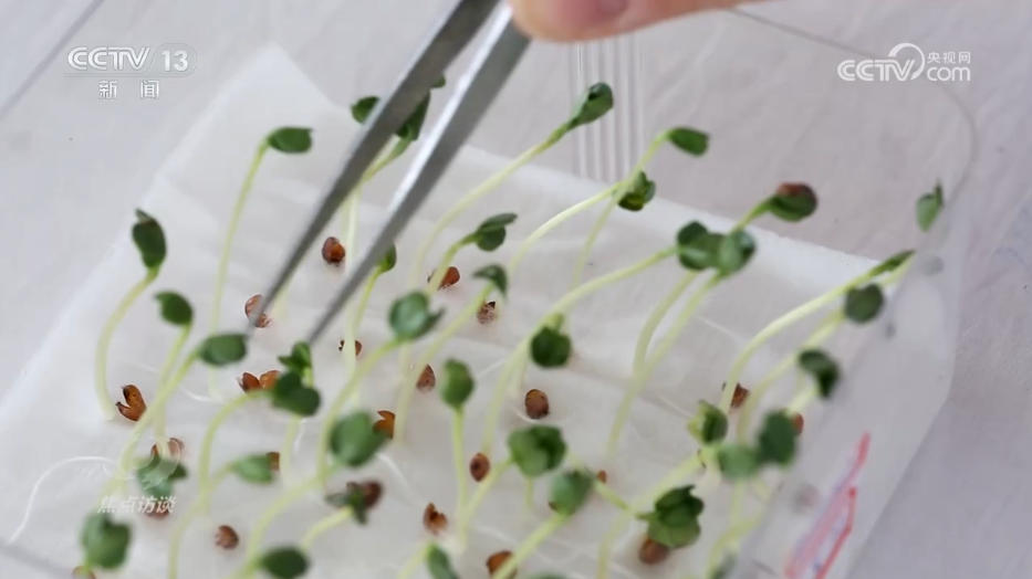 攥紧农业“芯片” 提稳中国“菜篮子”