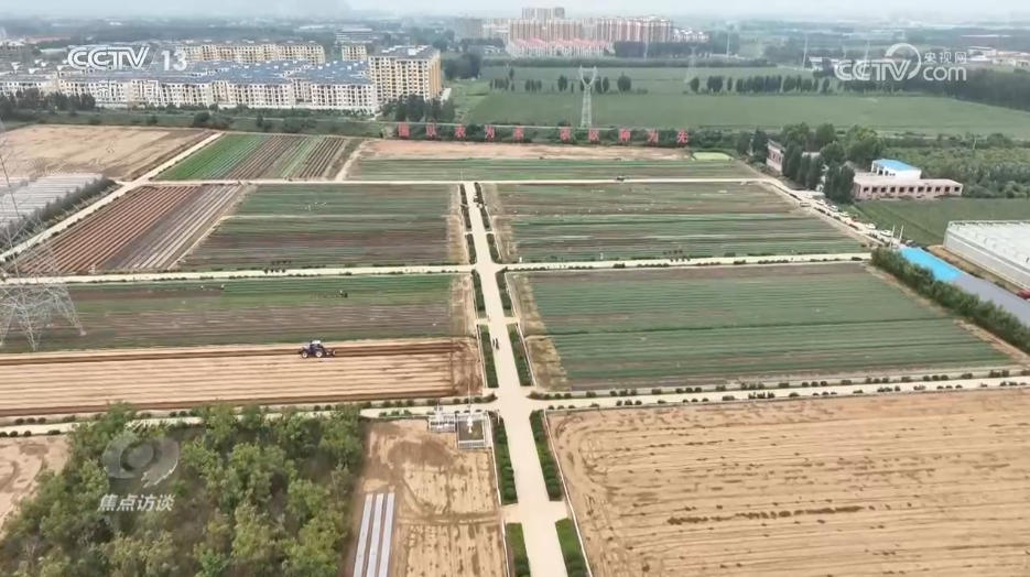 攥紧农业“芯片” 提稳中国“菜篮子”