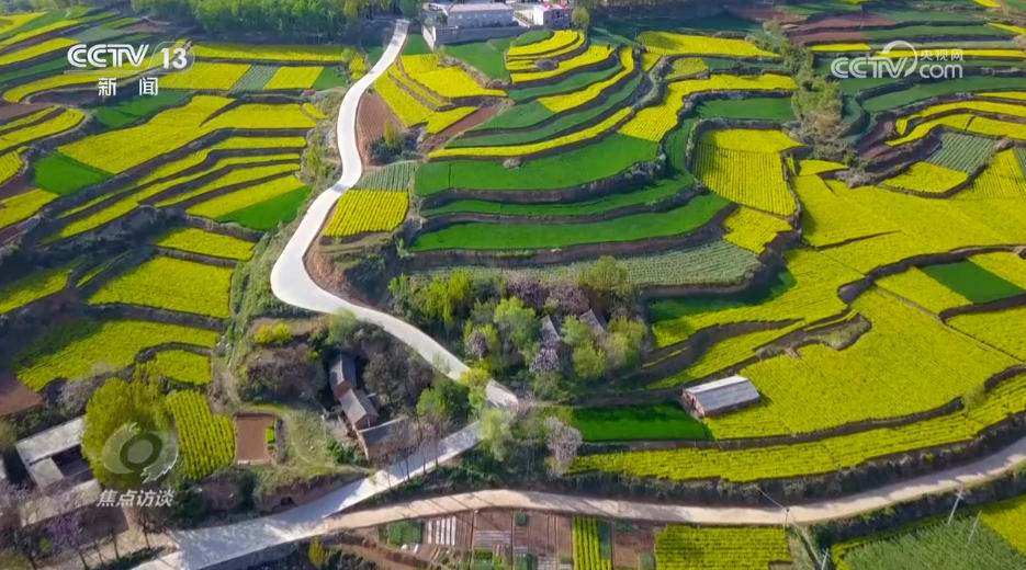 攥紧农业“芯片” 提稳中国“菜篮子”