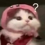 追光|全运会还没开幕,怎么这些比赛都比完了?