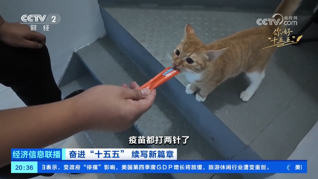 如何从住有所居到住有优居?看三城三人的安居故事