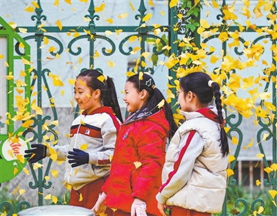 共赏秋韵 共赏秋韵