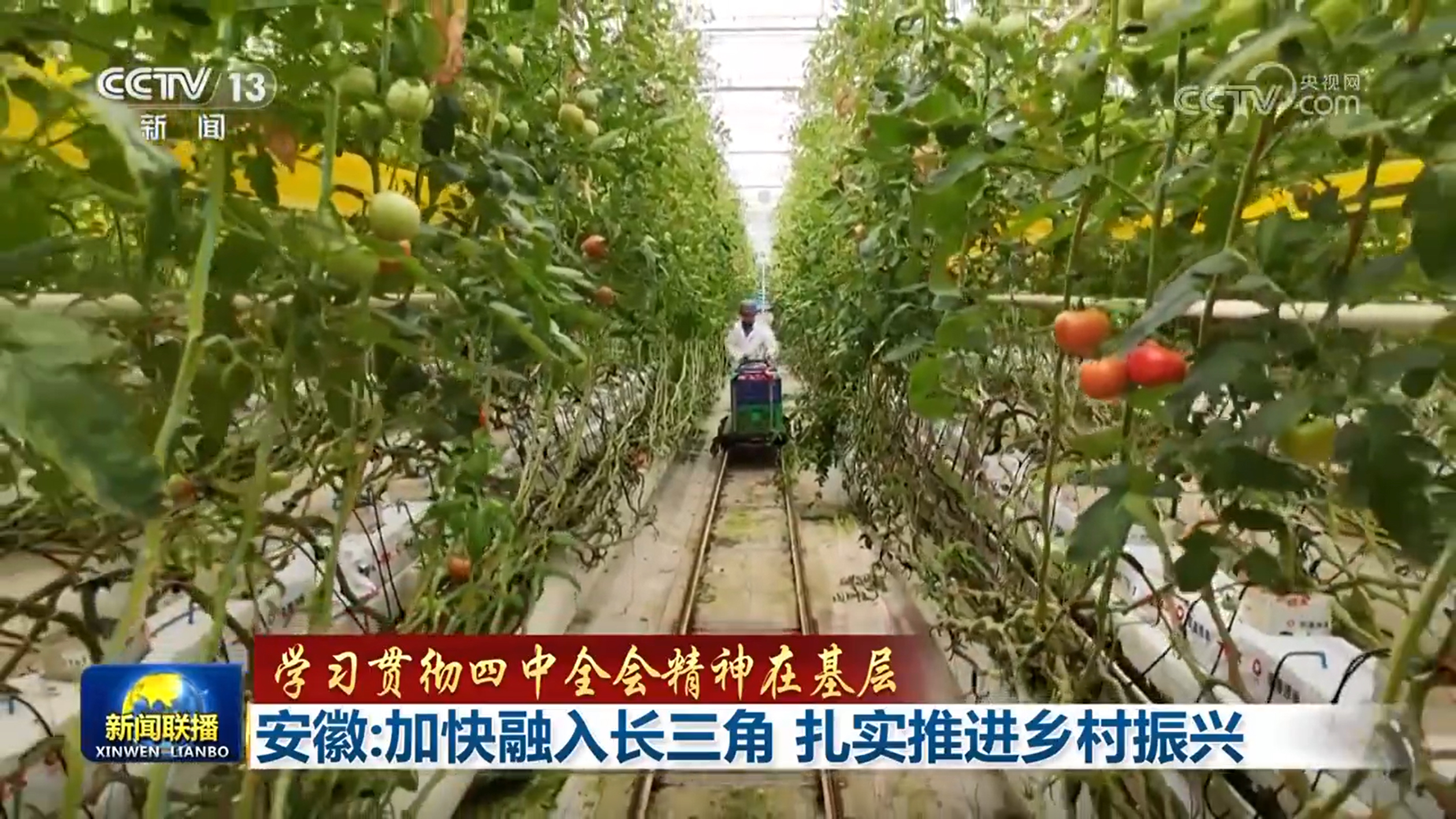 【学习贯彻四中全会精神在基层】贵州：挖掘文旅资源 激发乡村发展活力 安徽：加快融入长三角 扎实推进乡村振兴