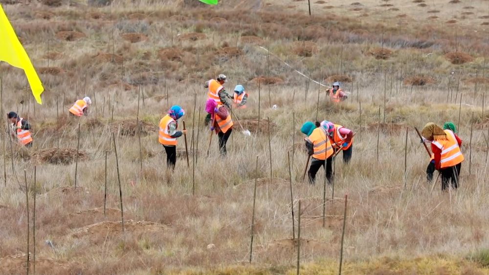 新华视点｜乡村振兴路 绿色富民图