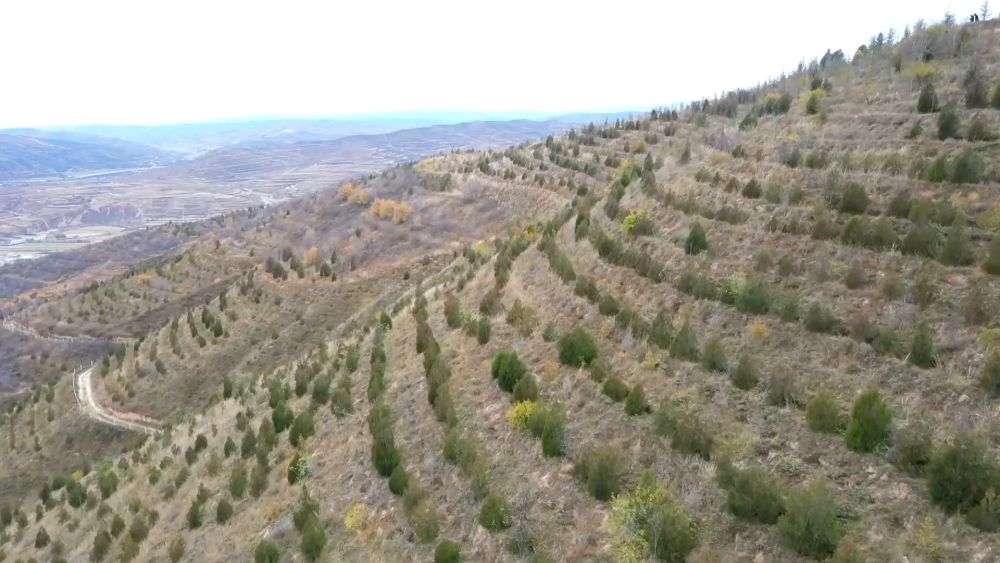 新华视点｜乡村振兴路 绿色富民图