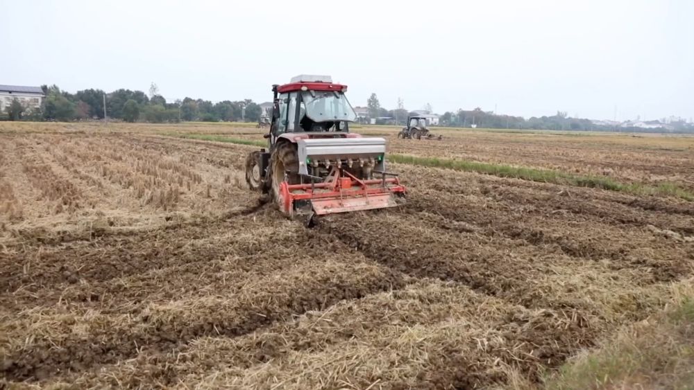 新华视点｜乡村振兴路 绿色富民图