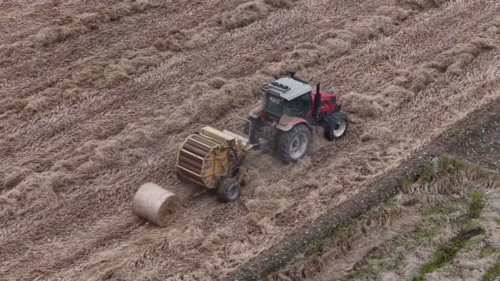 新华视点｜乡村振兴路 绿色富民图