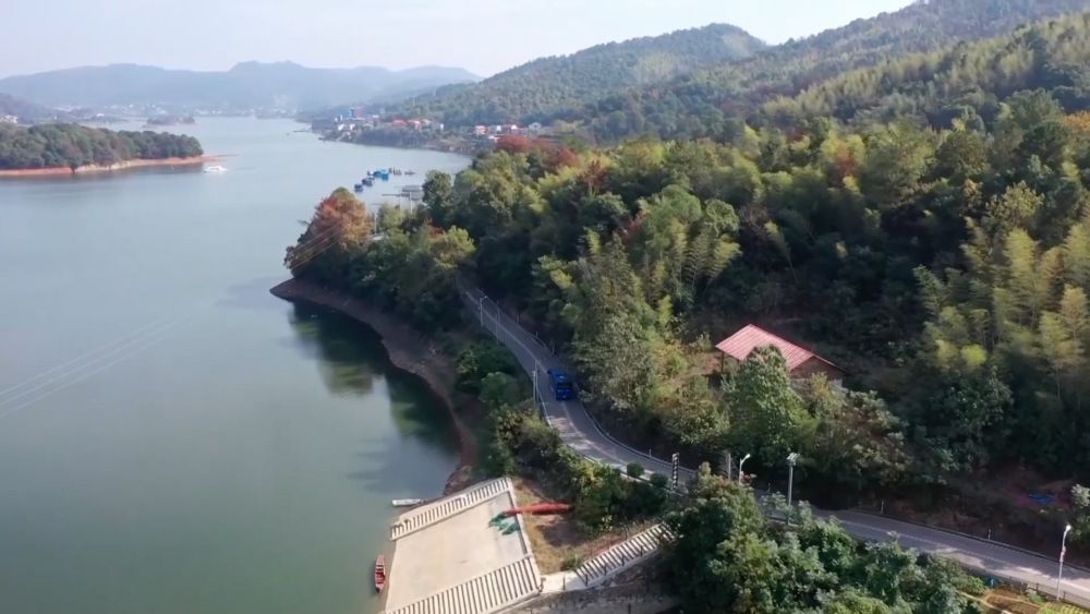 新华视点｜乡村振兴路 绿色富民图