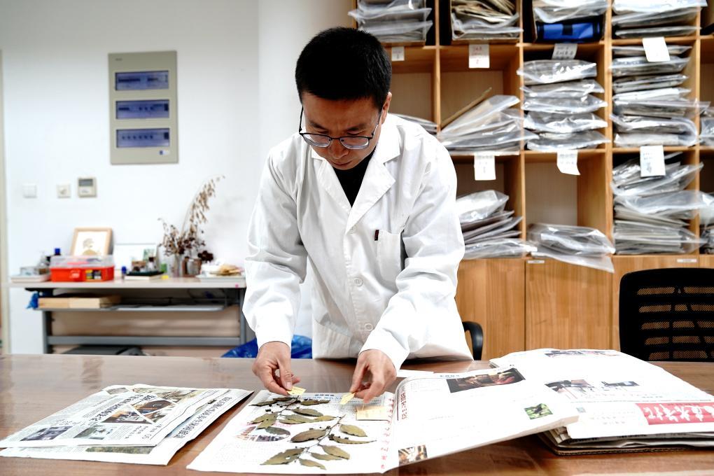 国家野生植物库辰山中心：种子存量突破一亿粒