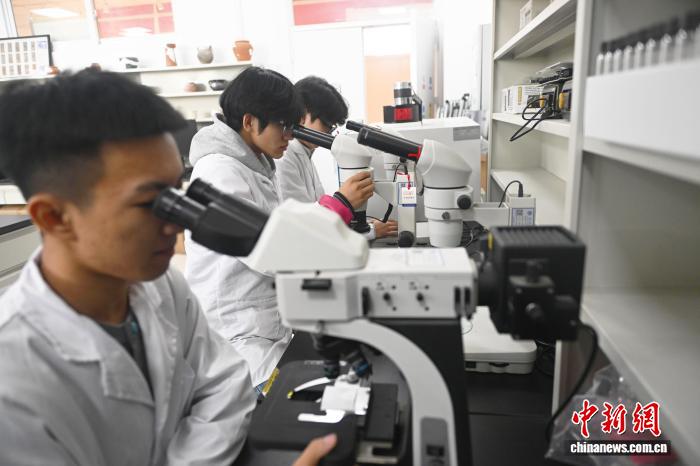 甘肃高校育“文物医生”