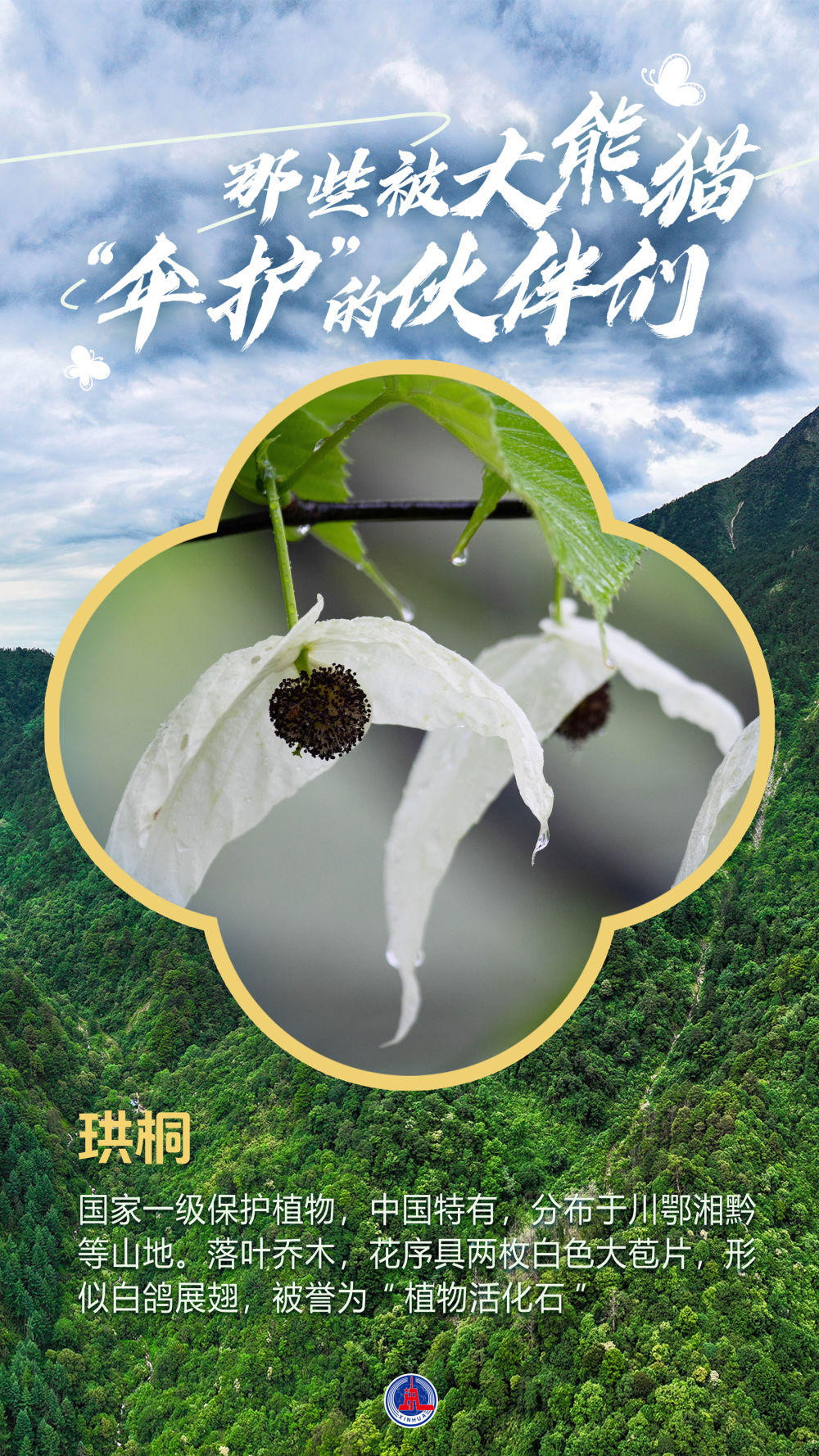 海报丨那些被大熊猫“伞护”的伙伴们