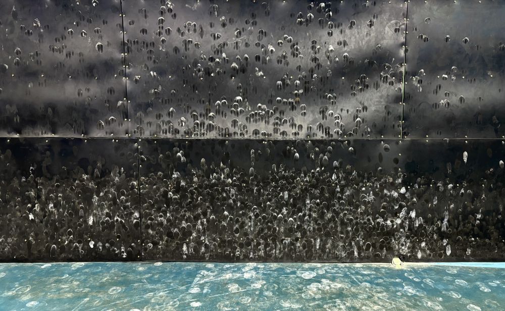 人物|巩立姣:时代投掷者