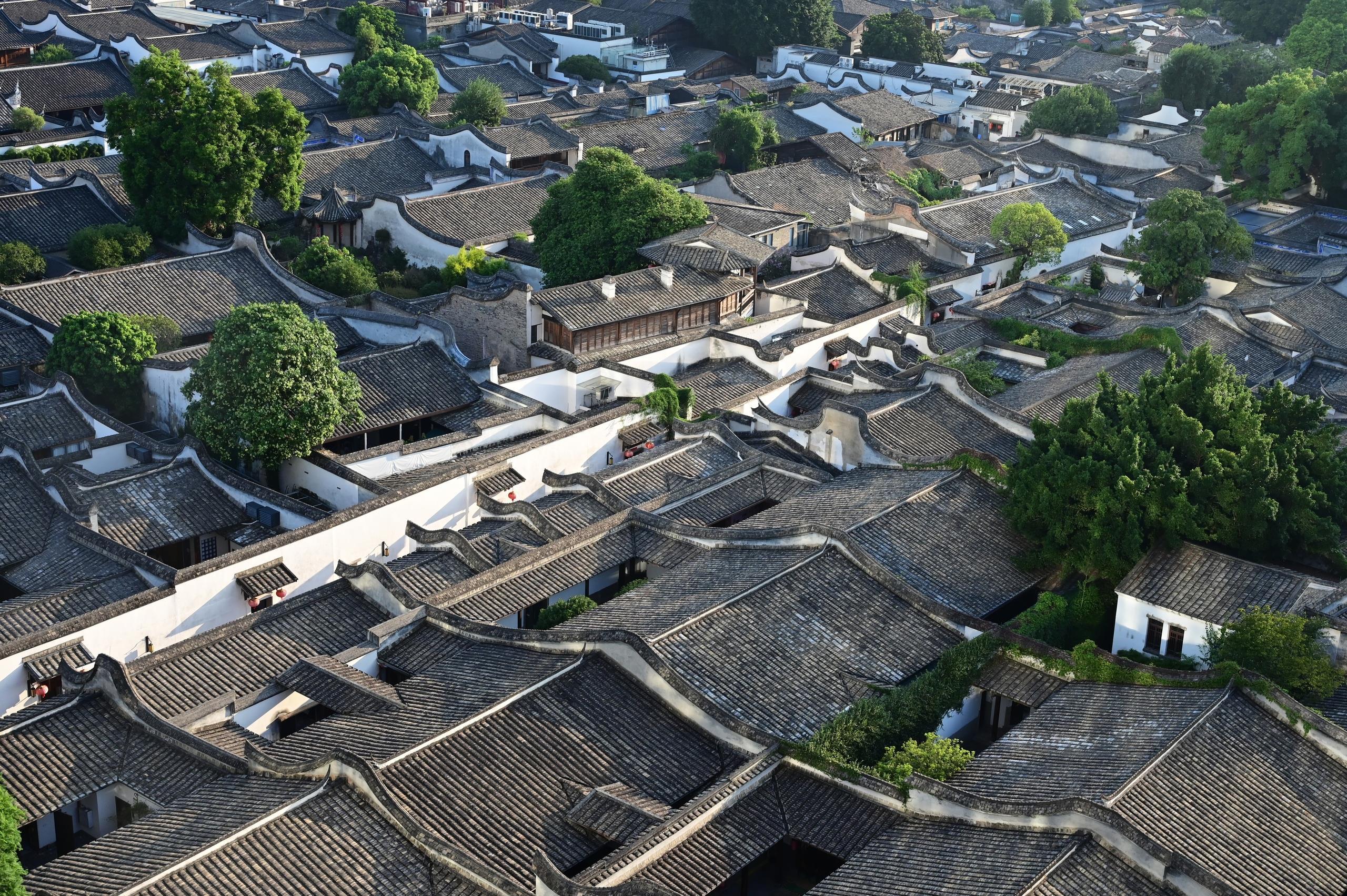 时政微观察丨建设人民城市,致广大而尽精微 时政微观察丨建设人民城市,致广大而尽精微