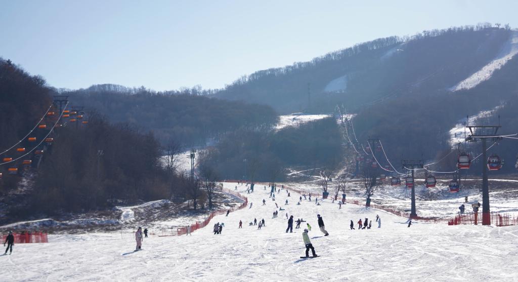 在长春，连世界，向未来——专访国际大体联主席雷诺·艾德