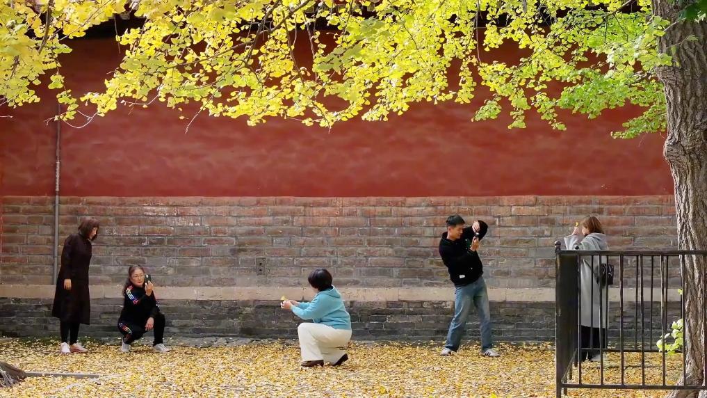 新华视点|文旅消费提质升级 多地经济焕发冬日新活力