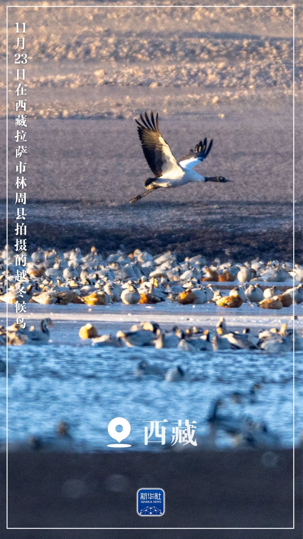 “初冬限定”美景上线!一起来欣赏吧 “初冬限定”美景上线!一起来欣赏吧