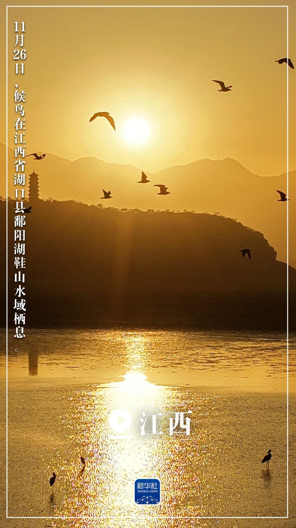 “初冬限定”美景上线!一起来欣赏吧 “初冬限定”美景上线!一起来欣赏吧