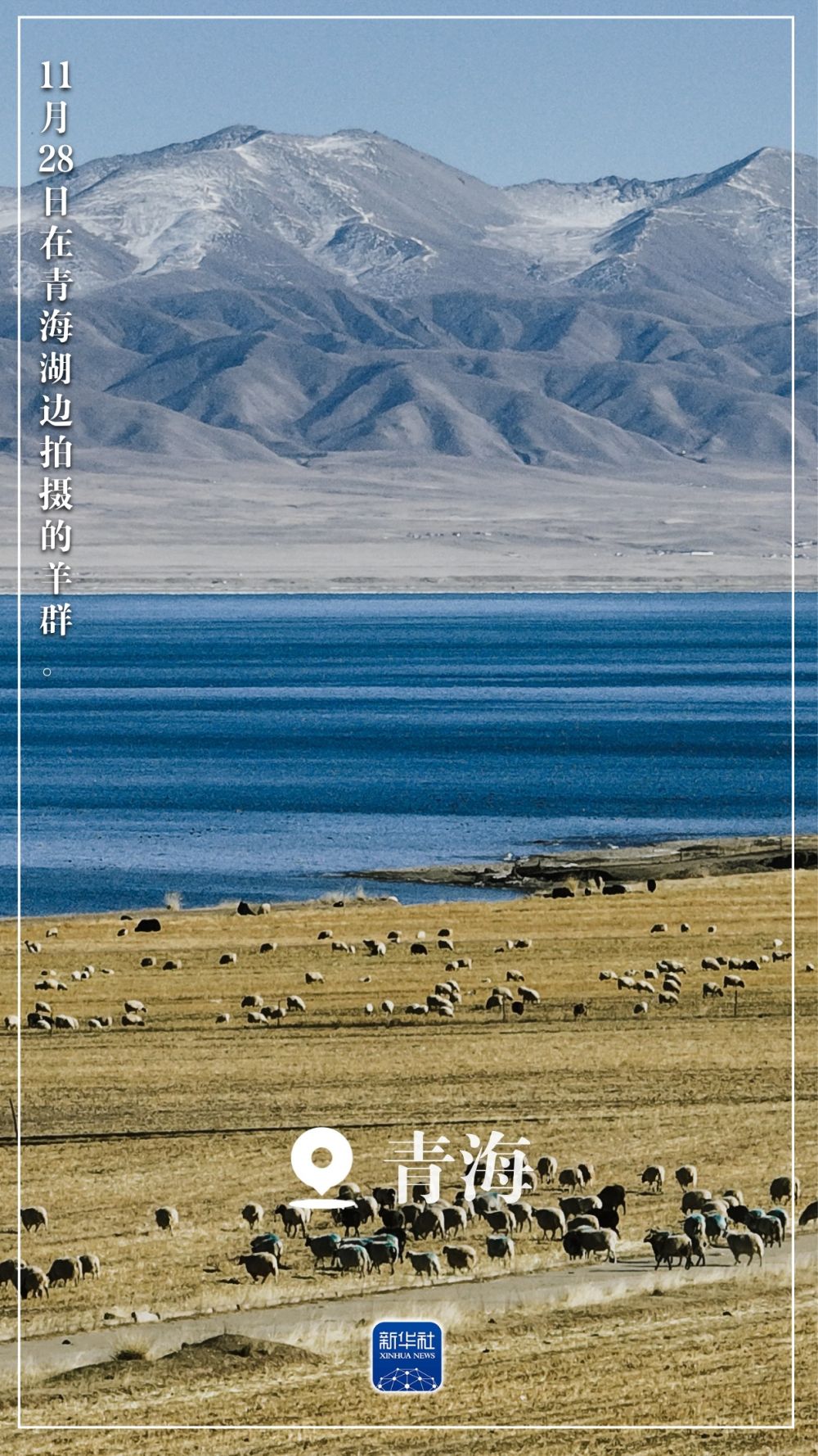 “初冬限定”美景上线!一起来欣赏吧 “初冬限定”美景上线!一起来欣赏吧