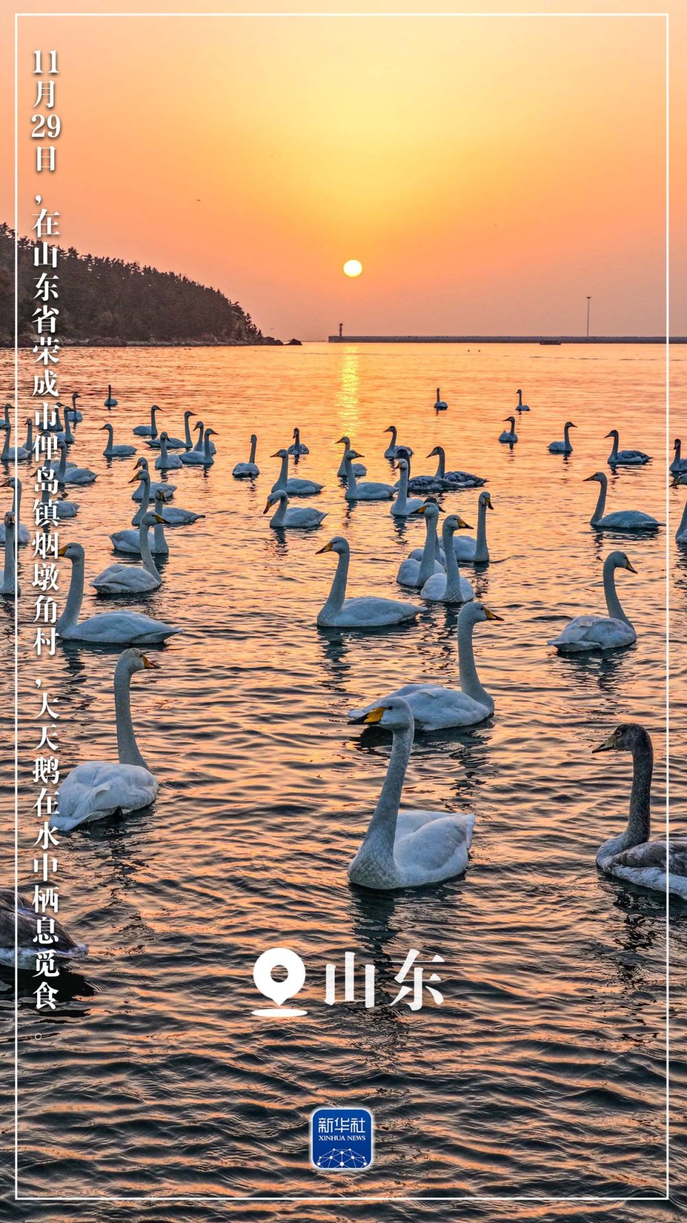 “初冬限定”美景上线!一起来欣赏吧 “初冬限定”美景上线!一起来欣赏吧