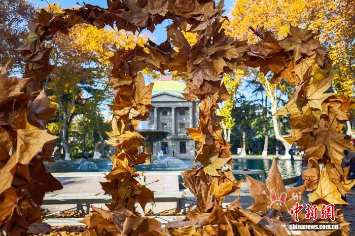 东南大学最美200米落叶景观华丽“上线”