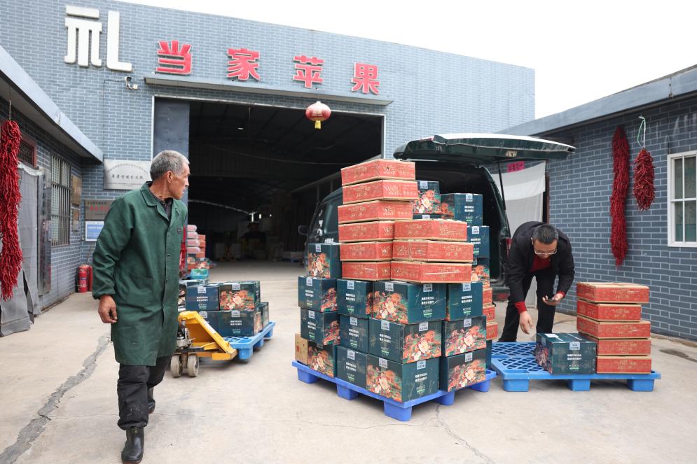 财经聚焦丨首次突破1800亿件！透视加速发展的“小包裹”背后