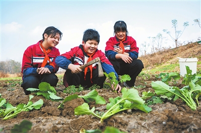 田间课堂学农事 田间课堂学农事