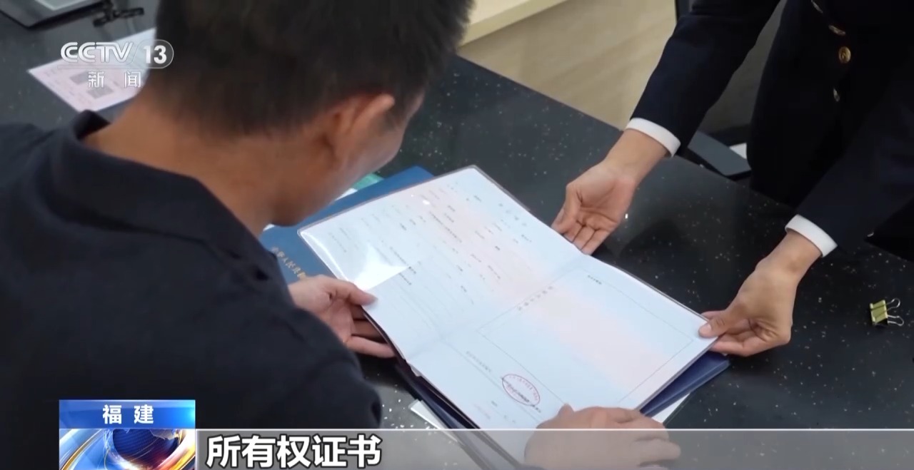 一线见闻丨数据破壁垒 办证不停运!海上运输跑出“加速度”