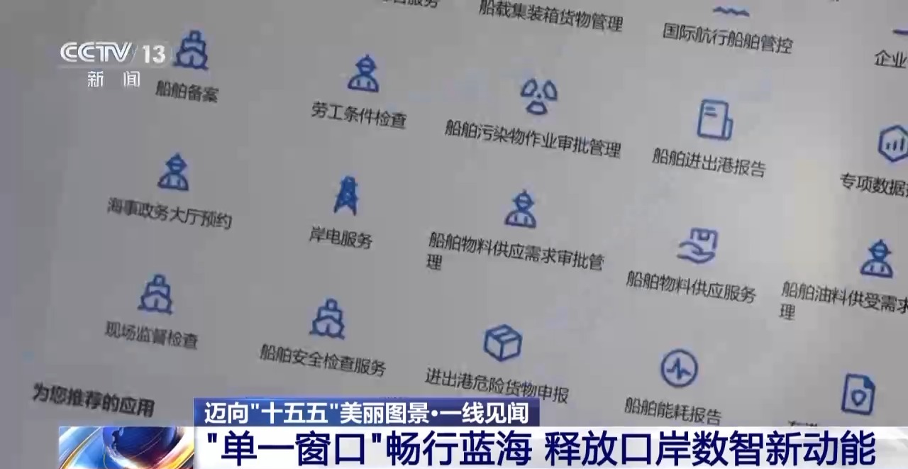一线见闻丨数据破壁垒 办证不停运!海上运输跑出“加速度”