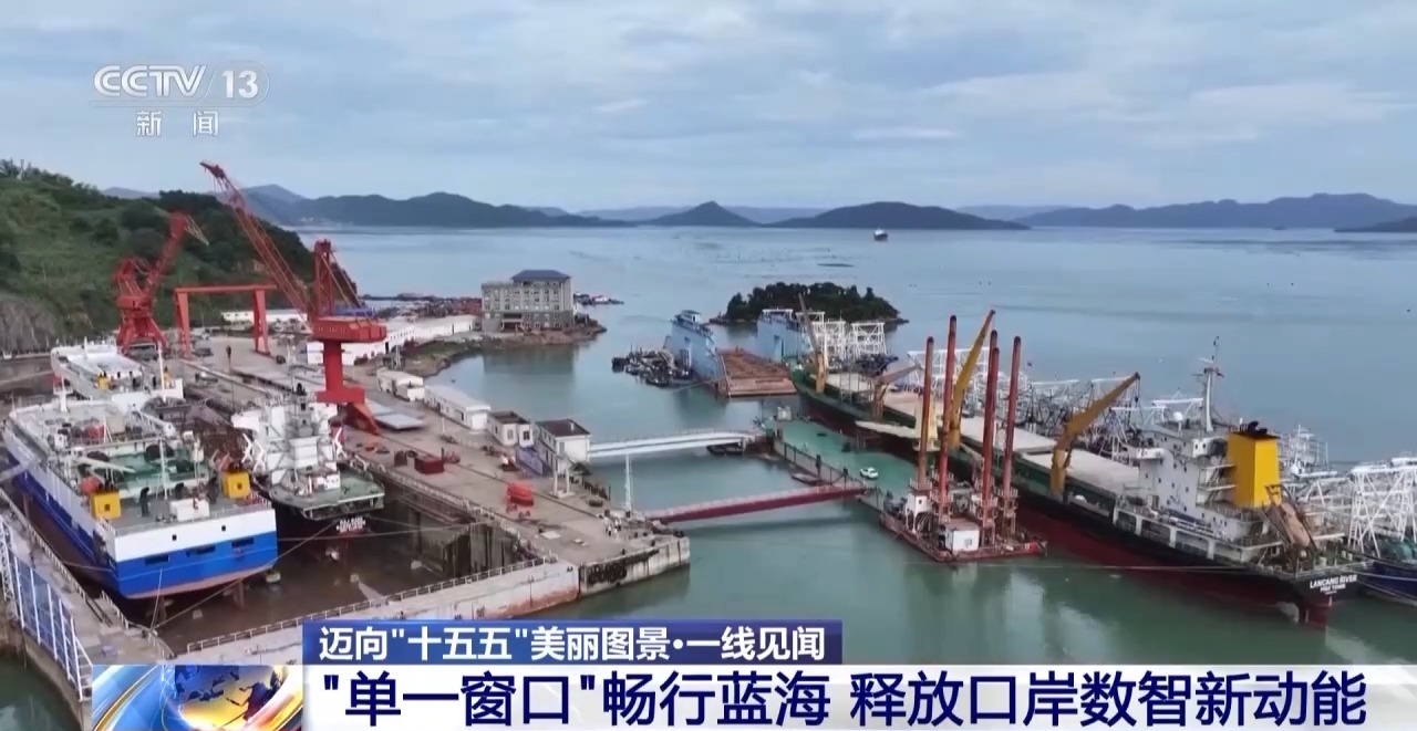 一线见闻丨数据破壁垒 办证不停运!海上运输跑出“加速度”