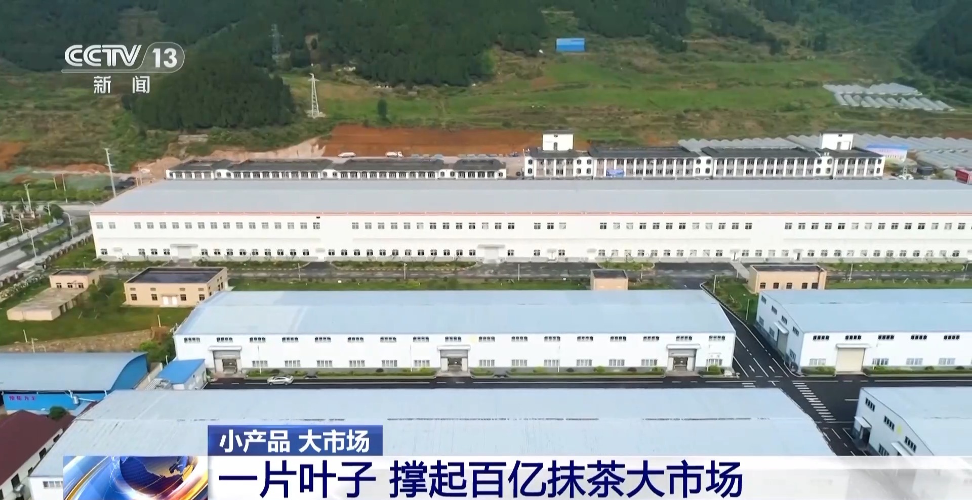 从一片树叶、一杯咖啡到美妆小瓶罐 看小产品如何撬动大市场