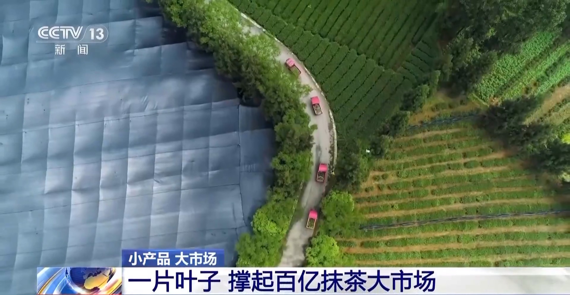 从一片树叶、一杯咖啡到美妆小瓶罐 看小产品如何撬动大市场